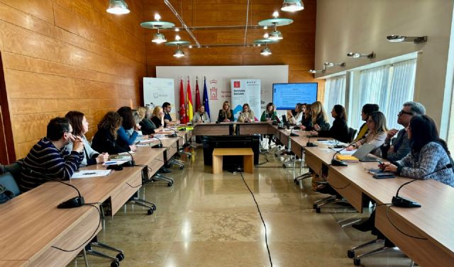 El Consejo Municipal de Servicios Sociales reúne a asociaciones, colegios profesionales y representantes del Tercer Sector - 1, Foto 1
