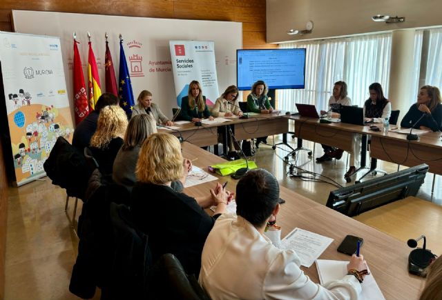 El Consejo Municipal de Servicios Sociales reúne a asociaciones, colegios profesionales y representantes del Tercer Sector - 2, Foto 2