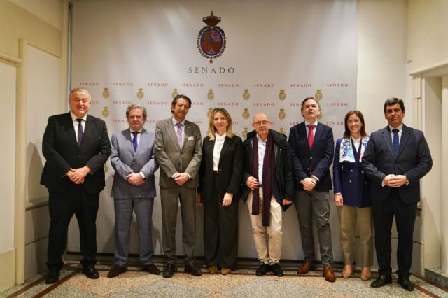 El PP saca adelante la 16ª Ley Feijóo que permite el uso de las videoconferencias en las reuniones de las comunidades de propietarios - 3, Foto 3