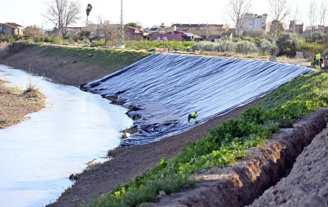El Meandro del Vivillo avanza en su recuperación para naturalizar el Segura y coser el municipio a través de Murcia Río - 3, Foto 3