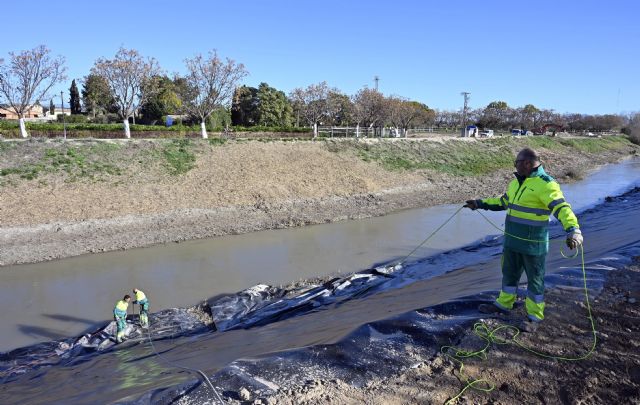 El Meandro del Vivillo avanza en su recuperación para naturalizar el Segura y coser el municipio a través de Murcia Río - 4, Foto 4