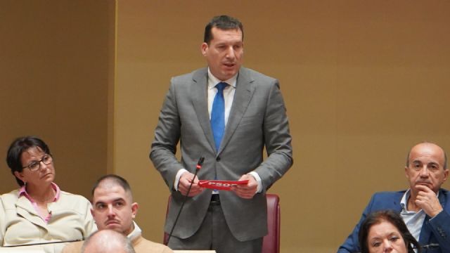 El PSOE asegura que el Gobierno de L�pez Miras es el responsable de que la Regi�n lidere el abandono educativo por desmantelar la educaci�n p�blica, Foto 2