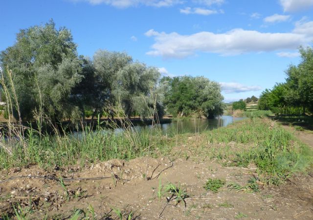 Los centros educativos impartirán talleres sobre el bosque de ribera de la Región hasta 2019 - 1, Foto 1