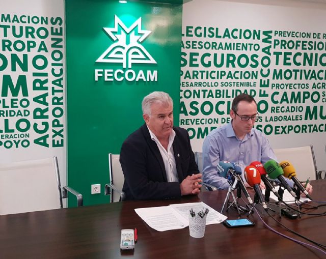 Las heladas de febrero provocan importantes daños en la fruta de hueso en la Región de Murcia - 1, Foto 1