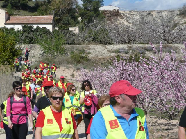 Más de 150 participantes de los Grupo 4-40 visitaron este sábado la floración de Cieza con motivo del VI encuentro que organiza el Servicio de Salud - 2, Foto 2