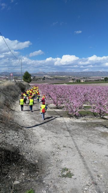 Más de 150 participantes de los Grupo 4-40 visitaron este sábado la floración de Cieza con motivo del VI encuentro que organiza el Servicio de Salud - 3, Foto 3