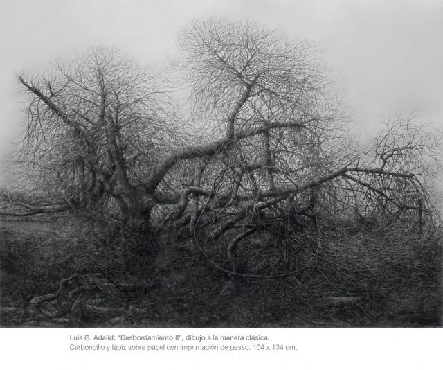 El Palacio de Molina acogera la exposicion los dibujos, los afectos, la mirada de Luis Gonzalez-Adalid - 1, Foto 1