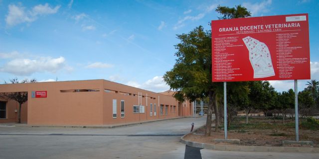 La UMU amplía su producción de energía solar fotovoltaica con una instalación en la granja veterinaria del Campus de Espinardo - 3, Foto 3