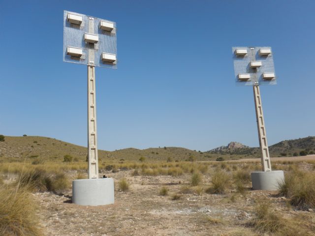 Instalados en el monte Los Almendros sistemas de nidificación para el cernícalo primilla - 1, Foto 1