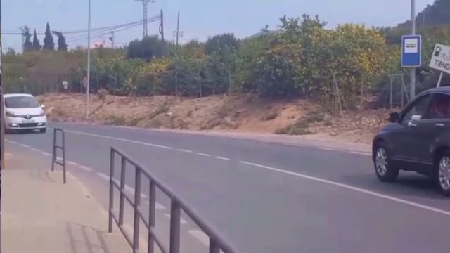 Ahora Murcia denuncia la falta de seguridad para peatones y usuarios de transporte público en los Garres - 3, Foto 3