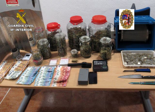 Desmantelan un punto de cultivo y venta de droga encubierto tras un local pro-cannabis - 2, Foto 2
