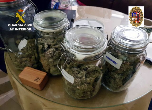 Desmantelan un punto de cultivo y venta de droga encubierto tras un local pro-cannabis - 4, Foto 4