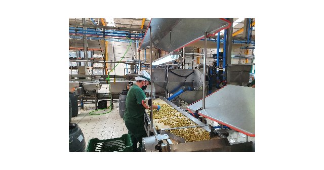 ASEMESA refuerza su representatividad con la incorporación de manzanilla olive - 1, Foto 1