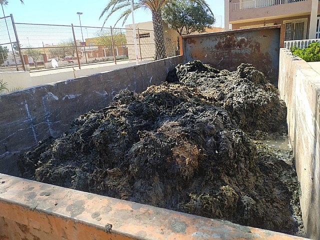 Denuncia de la presencia de un gas tóxico en la playa de los urrutias, por la materia acumulada - 1, Foto 1