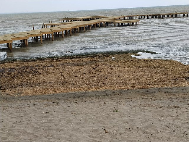 Denuncia de la presencia de un gas tóxico en la playa de los urrutias, por la materia acumulada - 2, Foto 2