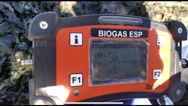 Denuncia de la presencia de un gas tóxico en la playa de los urrutias, por la materia acumulada - 4, Foto 4