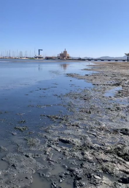 Denuncia de la presencia de un gas tóxico en la playa de los urrutias, por la materia acumulada - 5, Foto 5