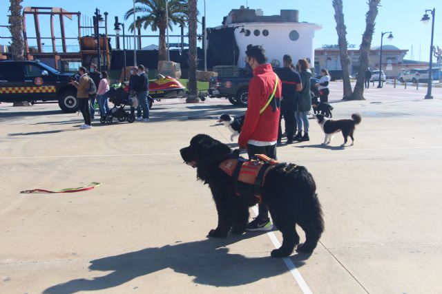 GRESCAN presenta a sus perros socorristas y ofrece talleres de primeros auxilios para los más pequeños - 4, Foto 4