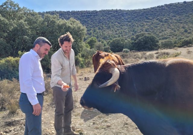 El IMIDA impulsa la recuperación de variedades tradicionales hortícolas y de la raza autóctona de vaca murciana-levantina - 1, Foto 1