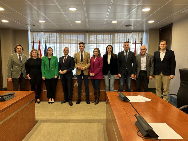 El director general de Impulso al Comercio, Innovación Empresarial e Industrias y Oficios Artesanales comparece ante la Asamblea Regional - 2, Foto 2