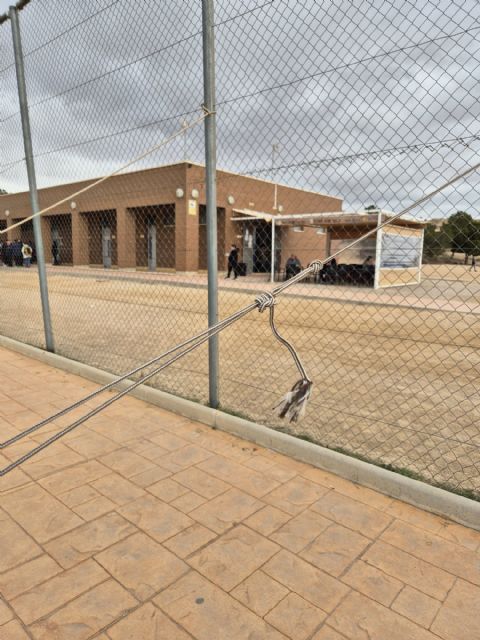 El psoe denuncia la falta de previsión y manteminiento en el complejo deportivo juan palao - 5, Foto 5
