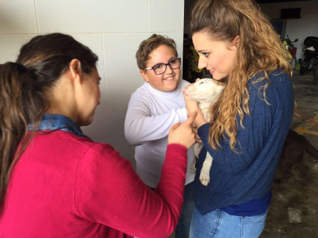 Los alumnos del aula abierta del Joaquín Tendero comparten juegos con la unidad canina de Protección Civil - 3, Foto 3