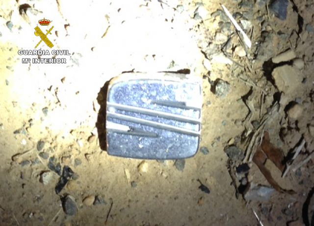 La Guardia Civil solicita la colaboración ciudadana para identificar al conductor que atropelló mortalmente a un peatón - 1, Foto 1