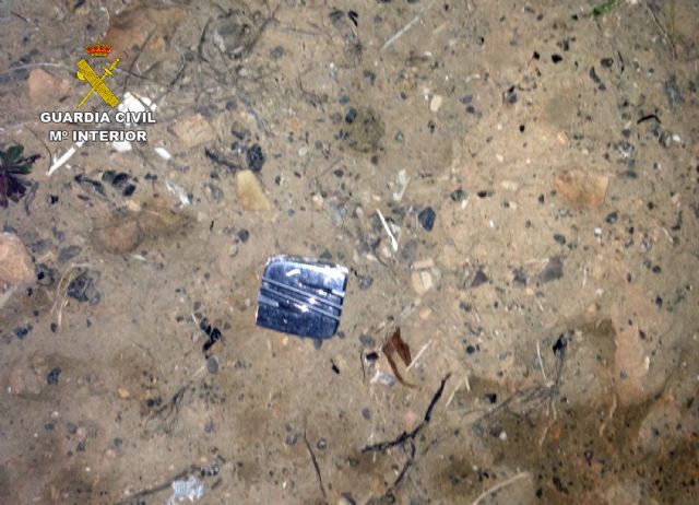 La Guardia Civil solicita la colaboración ciudadana para identificar al conductor que atropelló mortalmente a un peatón - 2, Foto 2