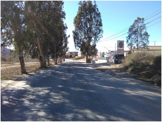 El PSOE vuelve a exigir al PP que solucione el punto negro de la carretera de Caravaca - 2, Foto 2