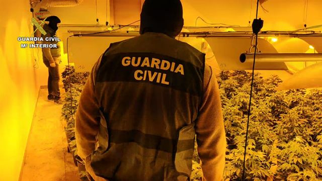 La Guardia Civil desarticula una organización criminal dedicada a exportar marihuana al resto de Europa - 2, Foto 2