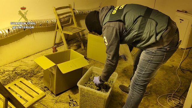 La Guardia Civil desarticula una organización criminal dedicada a exportar marihuana al resto de Europa - 3, Foto 3