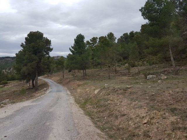 Más de medio centenar de dueños de bosques o montes privados han solicitado ya las ayudas para actuaciones de prevención de incendios - 1, Foto 1