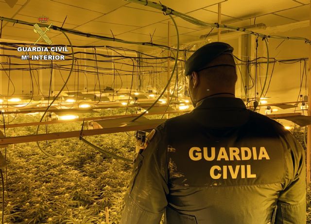 La Guardia Civil desmantela una importante plantación de marihuana en una nave industrial de Cieza - 1, Foto 1