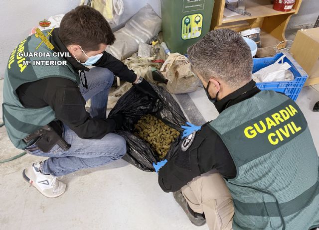 La Guardia Civil desmantela una importante plantación de marihuana en una nave industrial de Cieza - 3, Foto 3