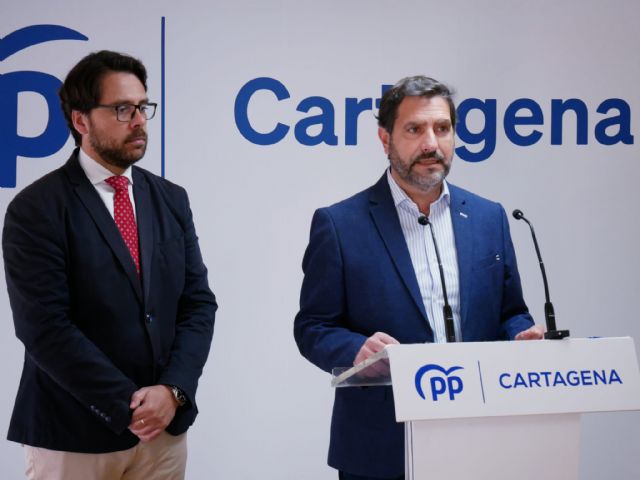 El Congreso avala la propuesta del PP para consolidar el empleo y el futuro industrial de Sabic en Cartagena - 1, Foto 1