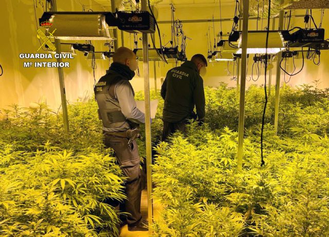 Desarticulados dos invernaderos de marihuana y un punto de venta de droga al menudeo, Foto 1
