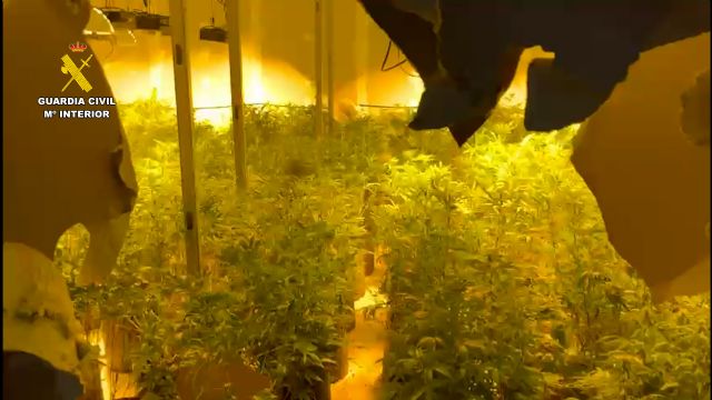 Desarticulados dos invernaderos de marihuana y un punto de venta de droga al menudeo, Foto 7