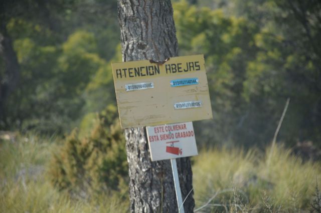 Medio Ambiente abre los montes públicos a los apicultores para favorecer la biodiversidad y la gestión sostenible del territorio - 3, Foto 3