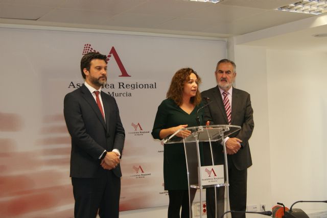 El PSOE reclama al Gobierno regional que no discrimine a Lorca en la atención sanitaria de urgencias - 1, Foto 1