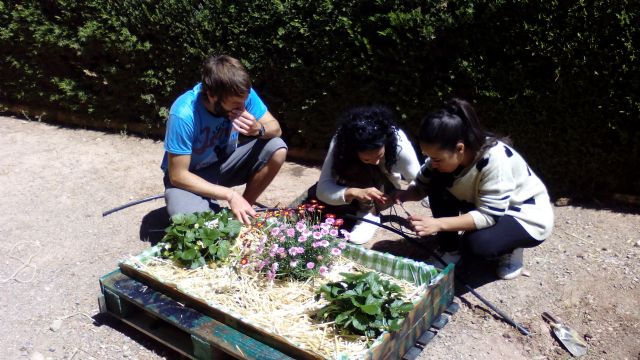 Clausura de las dos formaciones ocupacionales del proyecto 