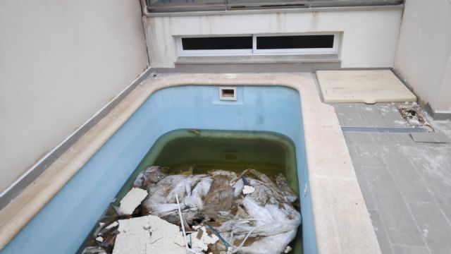 El Ayuntamiento mantiene los tratamientos contra la plaga del mosquito tigre que baja de intensidad - 1, Foto 1