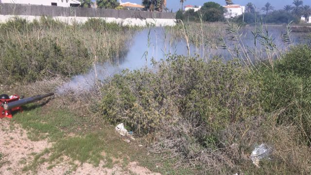 El Ayuntamiento mantiene los tratamientos contra la plaga del mosquito tigre que baja de intensidad - 3, Foto 3