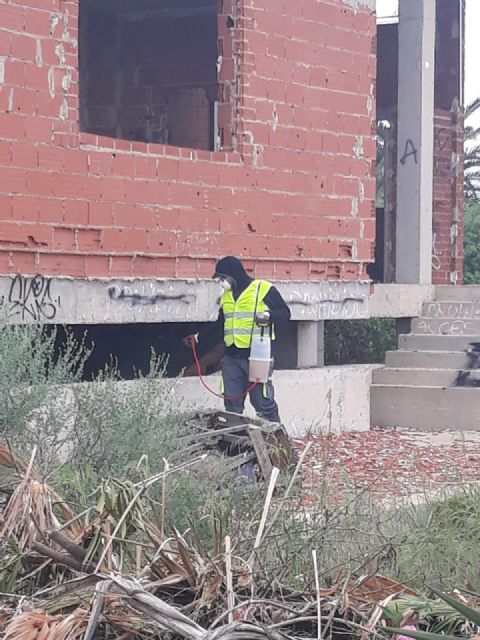 El Ayuntamiento mantiene los tratamientos contra la plaga del mosquito tigre que baja de intensidad - 4, Foto 4