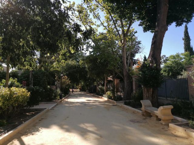 IU Lorca denuncia importantes incumplimientos de acuerdos de Pleno para la protección del arbolado de Lorca - 1, Foto 1