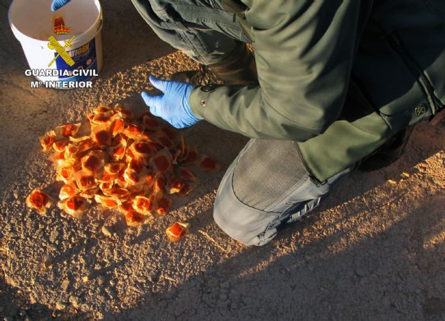 La Guardia Civil investiga a cuatro personas por utilizar medios de caza no selectivos, Foto 2