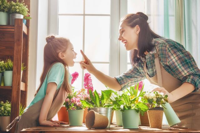 El 35 por ciento de los murcianos prefiere orientación sur a la hora de buscar vivienda, según LACOOOP - 2, Foto 2