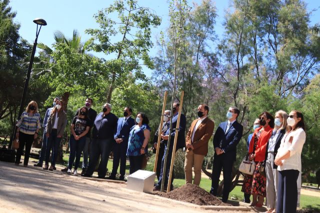 Un álamo blanco recuerda a los fallecidos por el COVID-19 - 3, Foto 3