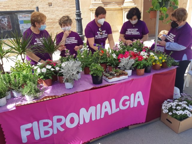 Día Internacional de la Fibromialgia y del Síndrome de Fatiga Crónica, Foto 4