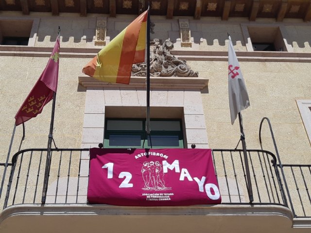 Día Internacional de la Fibromialgia y del Síndrome de Fatiga Crónica, Foto 6