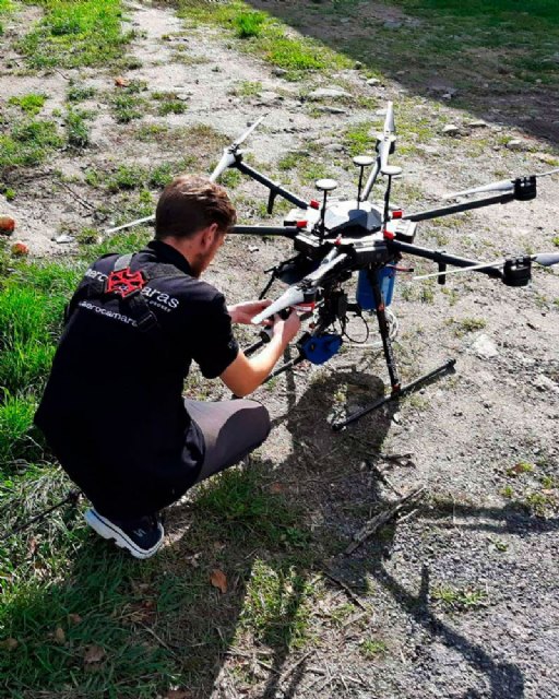Drone Velutina, el sistema más rápido, seguro y eficaz contra la avispa asiática - 1, Foto 1